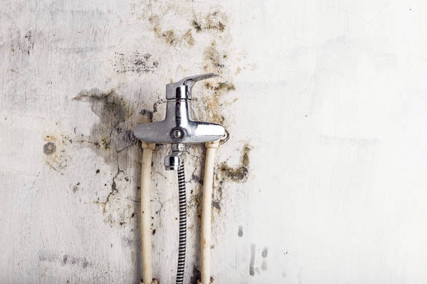 Best Kitchen Mold Remediation in Oak Point, TX