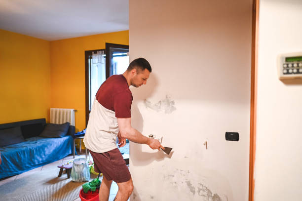 Best Localized Mold Remediation (e.g., coastal areas, humid climates) in Oak Point, TX