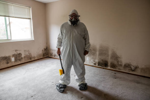 Best Post-Flood Mold Remediation in Oak Point, TX